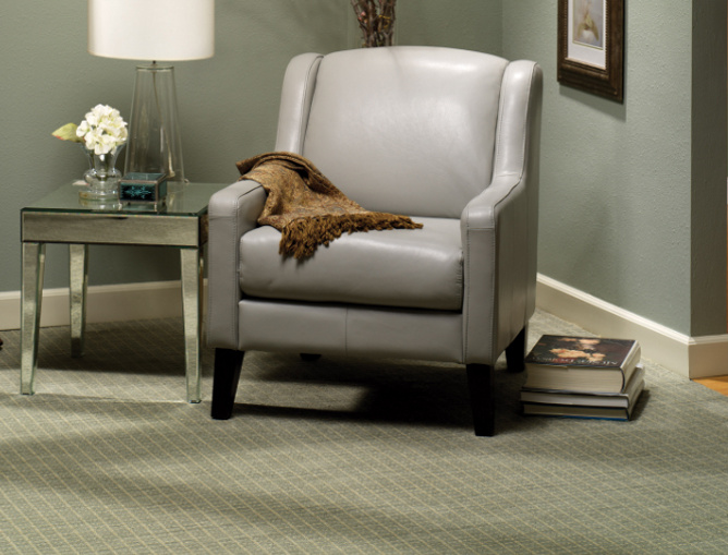 Living room with grey carpet